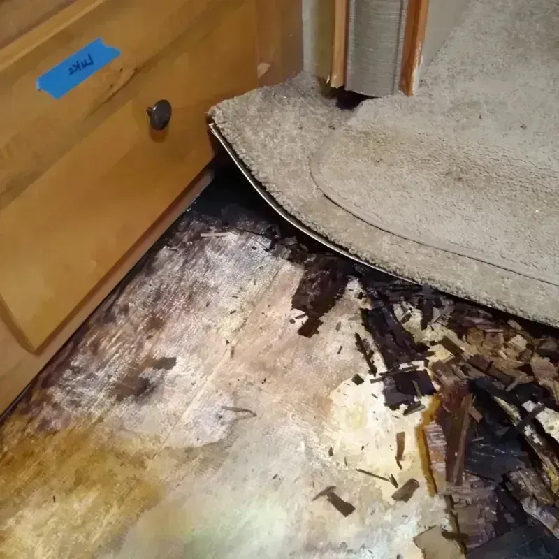 Wood Floor Water Damage in Crete, IL